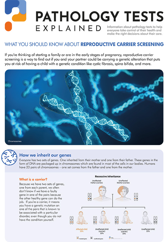 Reproductive carrier screening