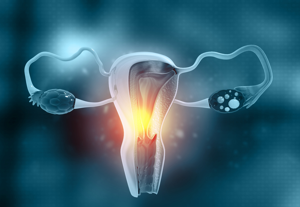 AMH (Anti-Mullerian hormone) | Pathology Tests Explained